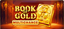 Machine à sous vidéo Book of Gold: Multichance
