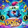 Disco Wild